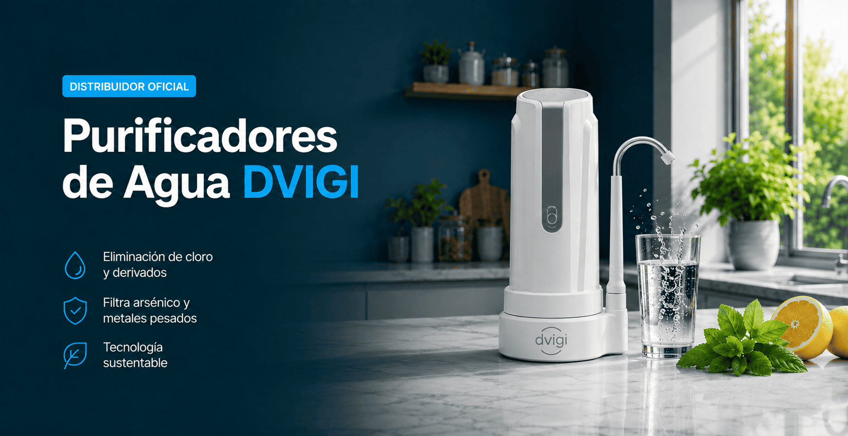 Purificadores DVIGI